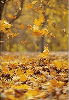 Amazon.co.jp: 背景布 落葉 秋の背景 黄葉 1.2x1.8m 壁の飾り 記念写真